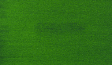 Permanent Green Light 618 30ml +++ T