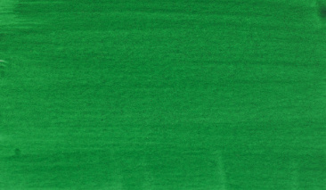 Permanent Green Deep 619 30ml +++ T