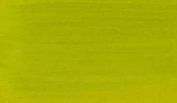 Olive Green Light 621 30ml +++ O