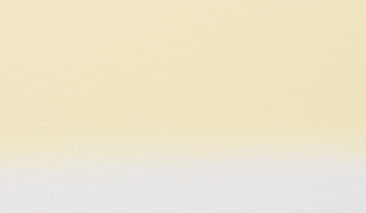 Nickel Titanium Yellow Light 279 400ml +++ O