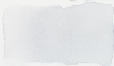Cold Grey Light 738 30ml