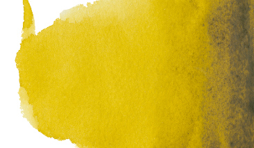 Azomethine Green Yellow 296 10ml ++ T