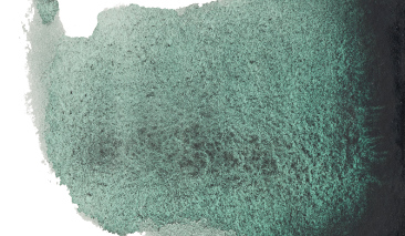 Dusk Green 630 10ml +++ SO G