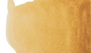 Raw Sienna 234 10ml S1 +++ T G