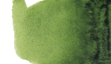 Sap Green 623 10ml S2 +++ T