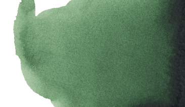 Hooker Green Deep 645 10ml S2 +++ T