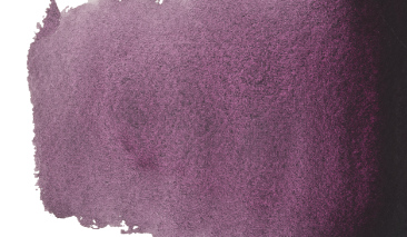 Dusk Pink 373 10ml S1 ++ SO G