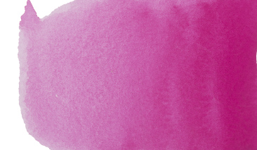 Rose 357 S.1 ++ SO