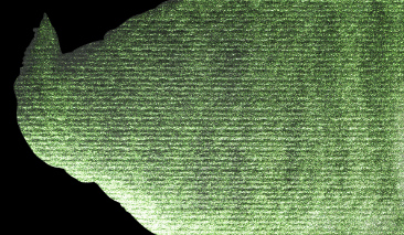 Sparkle Green 864 S.3 +++ SO