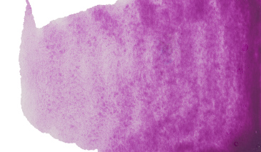 Cobalt Violet 539 10ml S3 +++ ST G
