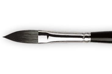 898 No12 Oval Pointed Casaneo Da Vinci