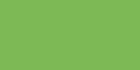 Moss Green Light 181 +++++