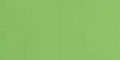 21x29,7cm 120g Moss Green 52