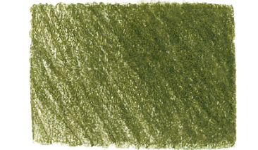 Olive Green Yellowish 173 +++