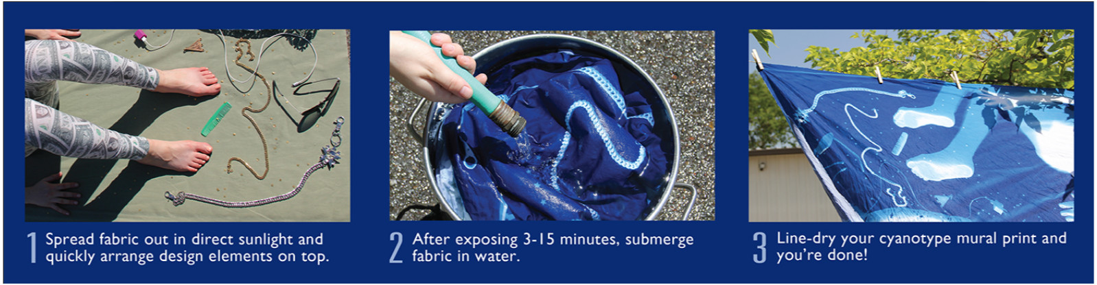 Cyanotype Mural Instructions